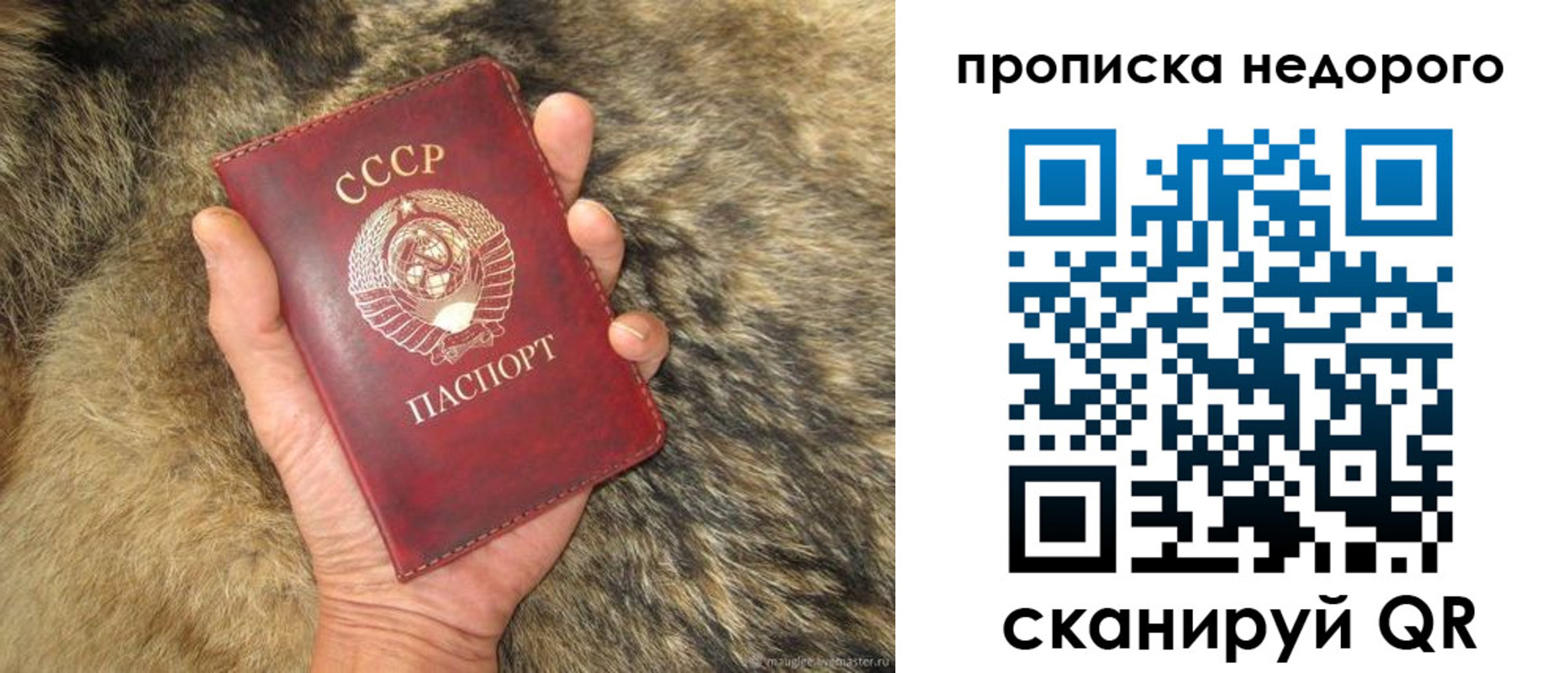 прописка для школы в Гудермесе